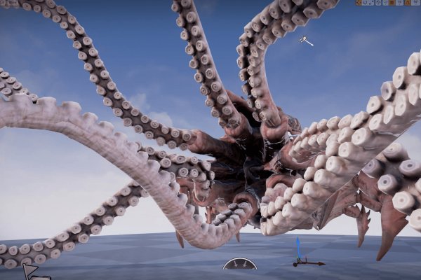 Kraken vtor run